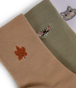 SOCK SET Organic Cotton Socks Box Set | Color Mix